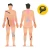 a9f50bb9b75dd97aa7e523b17eb8c525.webp
