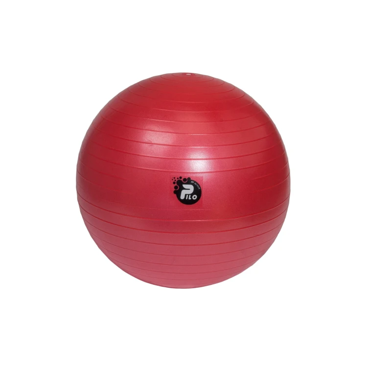 pilka-rehabilitacyjna-abs-55cm.jpg